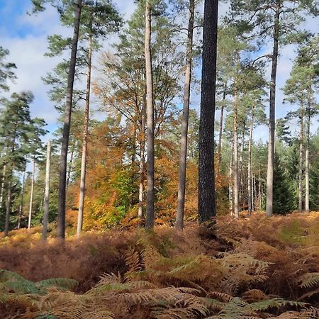 Au Coin Des Fagnes Lägenhet Jalhay Exteriör bild