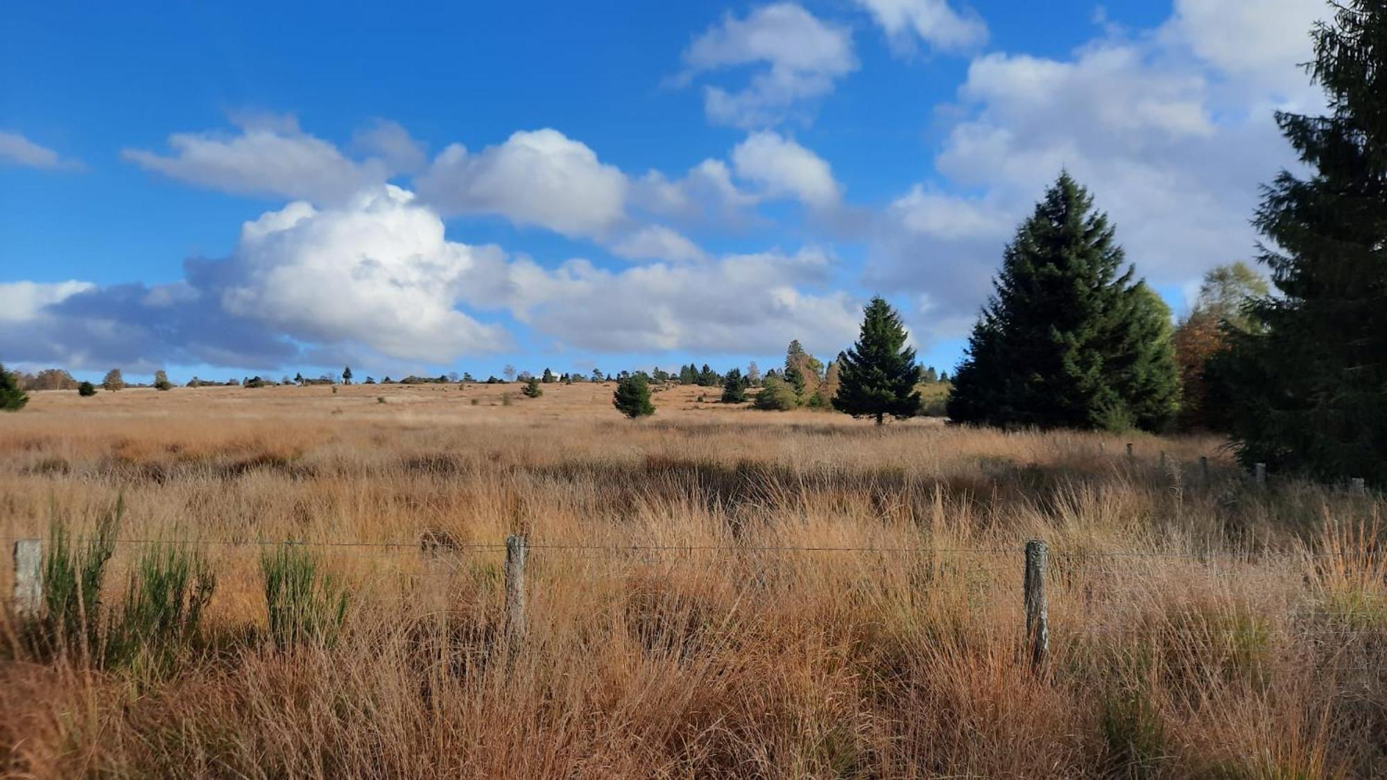 Au Coin Des Fagnes Lägenhet Jalhay Exteriör bild