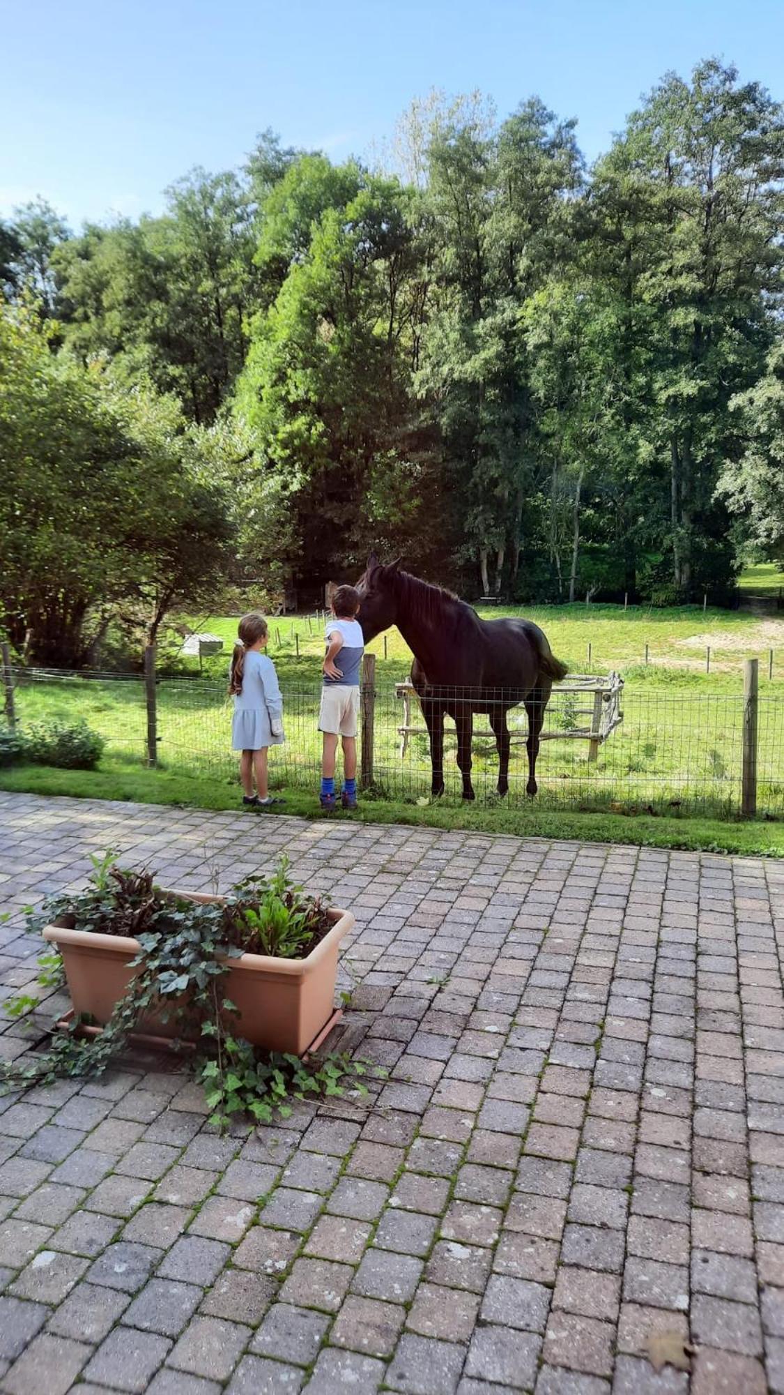 Au Coin Des Fagnes Lägenhet Jalhay Exteriör bild